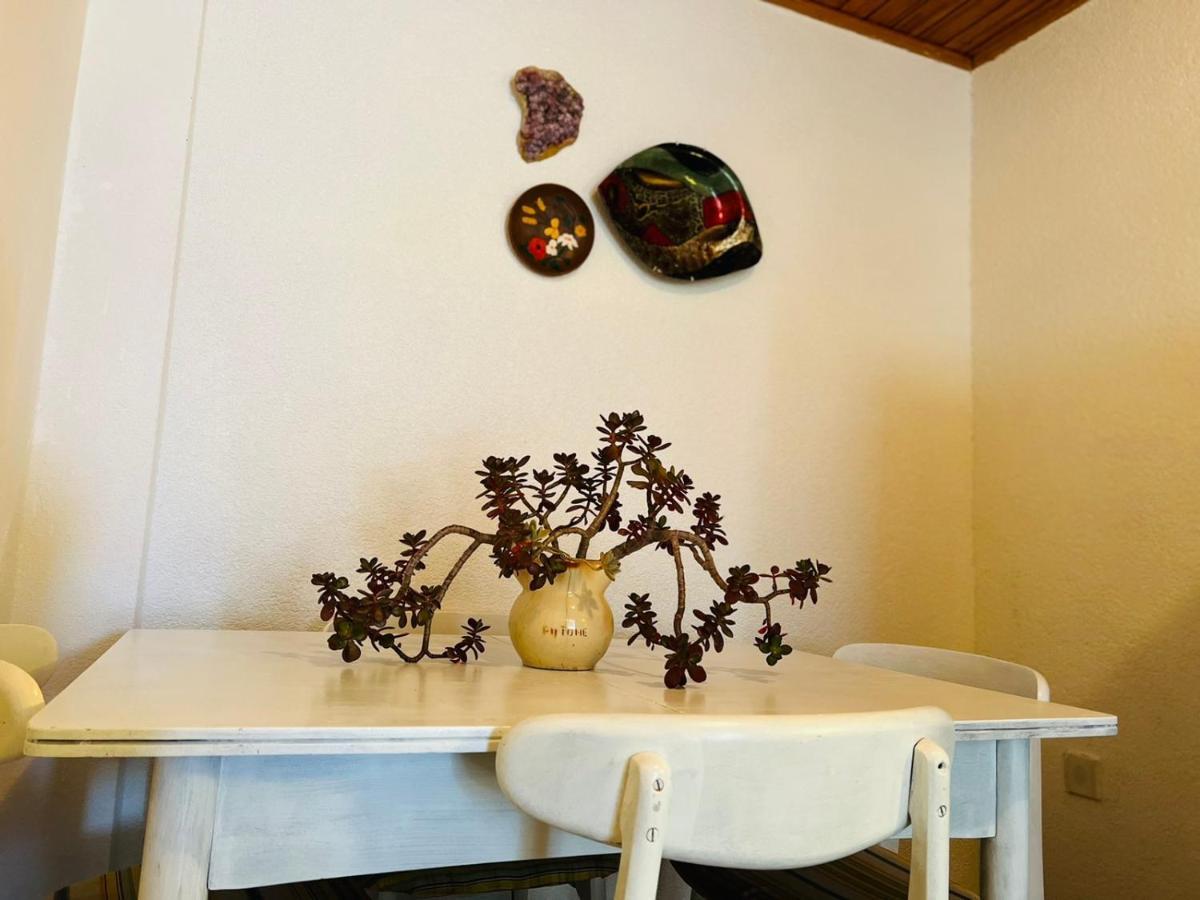 Sea Breeze Apartments With Private Beach And Boat Anchorage Stara Novalja Bagian luar foto